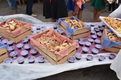 No próximo domingo (12), ocorre a 14ª Festa Municipal da Uva de Campestre da Serra. O evento contará com programação cultural, focada na tradição italiana, durante todo o dia. De acordo com Renata Rech, uma das organizadoras do evento, são esperadas cerca de duas a três mil pessoas. Tradicionalmente, a festa ocorre a cada dois anos, mas, em função da pandemia de Covid-19, ficou quatro anos sem acontecer. Desta forma, a expectativa é de que seja o maior público de todas as edições. <!-- NICAID(15342914) -->