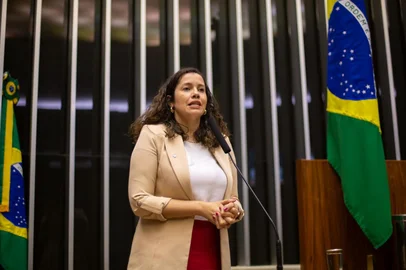 Denise Pessôa na tribuna da Câmara dos Deputados<!-- NICAID(16058056) -->