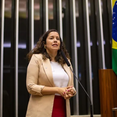 Denise Pessôa na tribuna da Câmara dos Deputados<!-- NICAID(16058056) -->