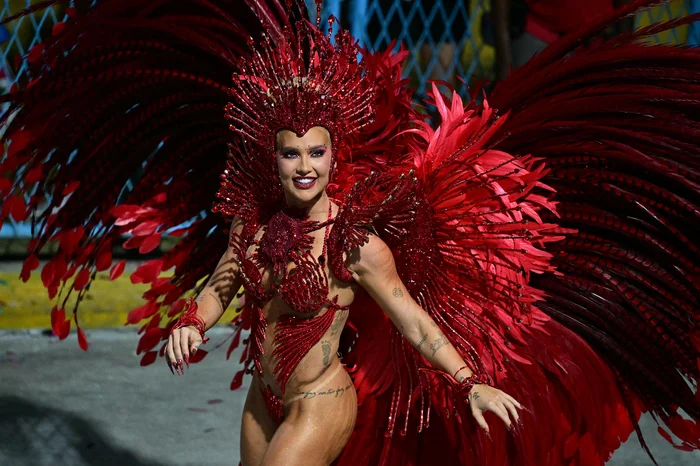 PABLO PORCIUNCULA / AFP / AFP