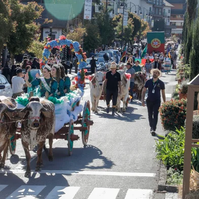 Festa da Colônia de Gramado<!-- NICAID(16039151) -->