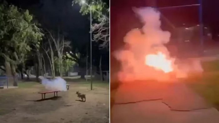 Reprodução / Redes sociais