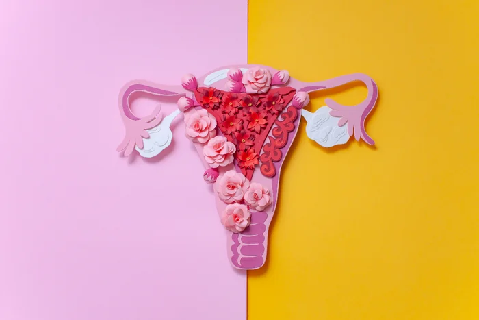 Alena Menshikova / Shutterstock | Portal EdiCase Alena Menshikova / Shutterstock | Portal EdiCase