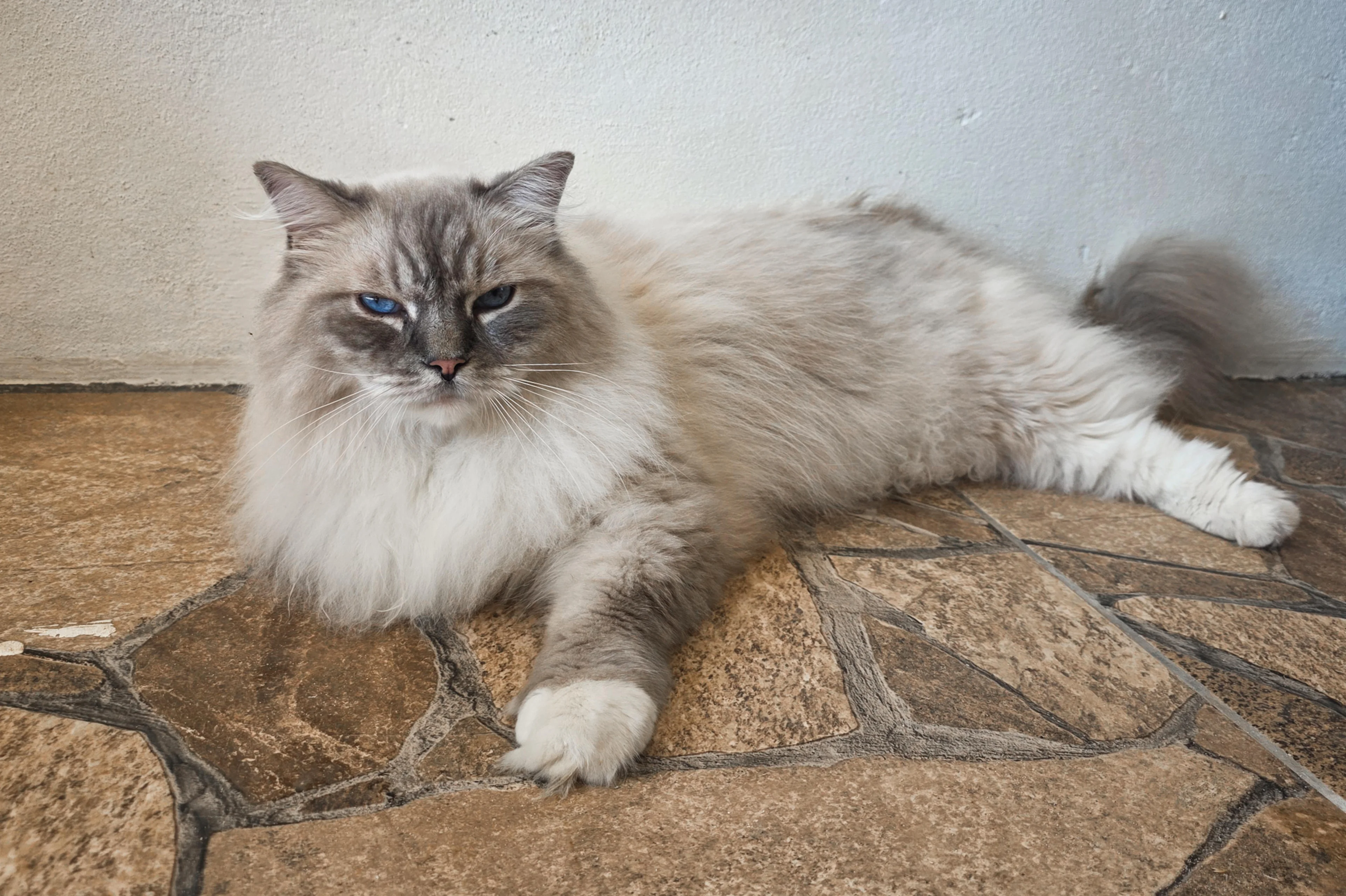 Gabriel Veríssimo/Grupo RBS