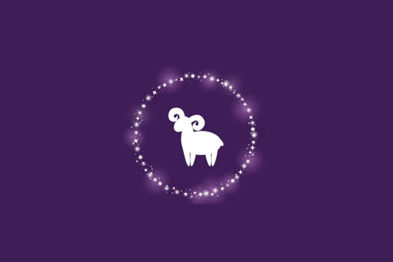 Kachalova Kseniia/Shutterstock | Portal EdiCase