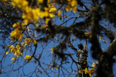CAXIAS DO SUL, RS, BRASIL, 17/09/2024. Imagens para ilustrar a chegada da Primavera em Caxias do Sul, e como será o clima para a estação na Serra. (Bruno Todeschini/Agência RBS)Indexador: Bruno Todeschini<!-- NICAID(15868444) -->