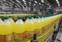 Um sabor de 1949 volta ao RS depois de reestrear em SC 