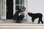 WASHINGTON - MARCH 15: U.S. President Barack Obama pets his dog Bo outside the Oval Office of the White House March 15, 2012 in Washington, DC. Obama spoke today at Prince Georges Community College about energy.   Martin H. Simon-Pool/Getty Images/AFP (Photo by POOL / GETTY IMAGES NORTH AMERICA / Getty Images via AFP)<!-- NICAID(14778098) -->