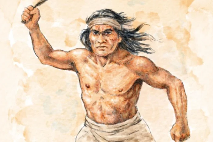 Da Rosa Estúdio / Divulgação