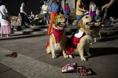 PORTO ALEGRE, RS, BRASIL, 19.12.2023: Amigo Secreto Pet realizado entre vizinhos que frequentam a praça da matriz na capital. Foto: Camila Hermes/Agencia RBS<!-- NICAID(15630495) -->