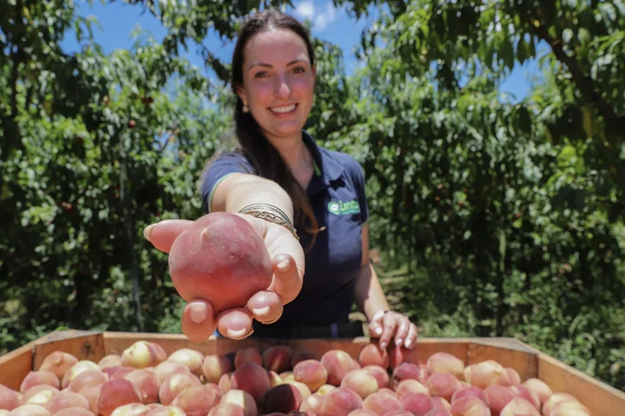 Ulisses Castro / Agencia RBS Ulisses Castro / Agencia RBS