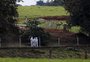 Minas Gerais descarta 450 toneladas de ovos vindos de Montenegro após confirmação de caso de gripe aviária