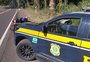 Motociclista morre em acidente na BR-116, entre Picada Café e Morro Reuter
