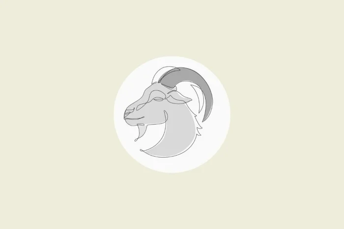 Tanya Syrytsyna / Shutterstock | Portal EdiCase