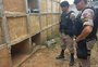 Mulher é resgatada com vida de sepultura em Minas Gerais