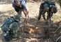 Puma é resgatado em Uruguaiana após ficar preso em armadilha para capivaras; veja vídeo