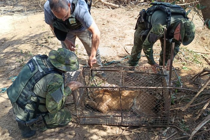 2º Batalhão Ambiental da Brigada Militar / Divulgação