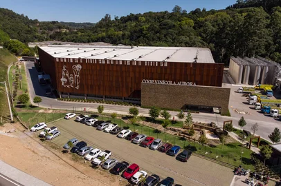 Cooperativa Vinícola Aurora divulga vagas temporárias para a safra de 2026<!-- NICAID(16169438) -->