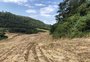 Polícia flagra mais de 8,3 hectares de desmatamento no interior do RS 