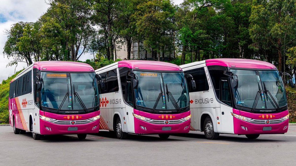 Marcopolo volta ao Ibovespa