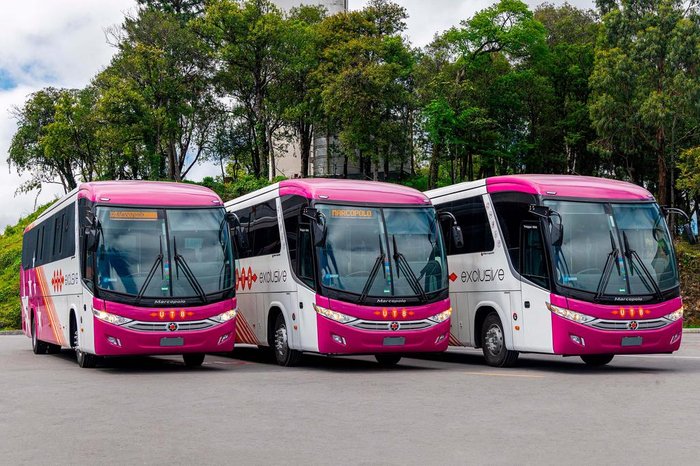 Marcopolo / Divulgação