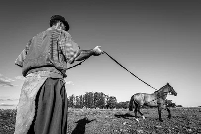 Fotografia intitulada "A Doma" (The Tame), de Marilise Cesa,é uma das seis fotografias produzidas pelo Clube do Fotógrafo de Caxias do Sul que estão entre as selecionadas para a 37ª Bienal Preto e Branco da FIAP - Federação Internacional de Fotografia.<!-- NICAID(16281623) -->