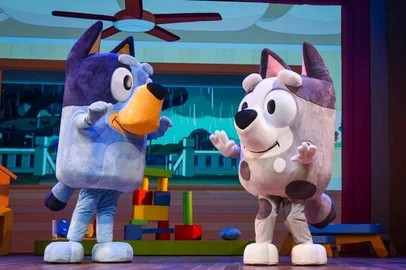 Andy Santana / Divulgação image