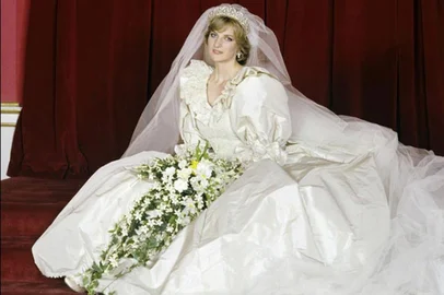 princesa diana<!-- NICAID(13527651) -->
