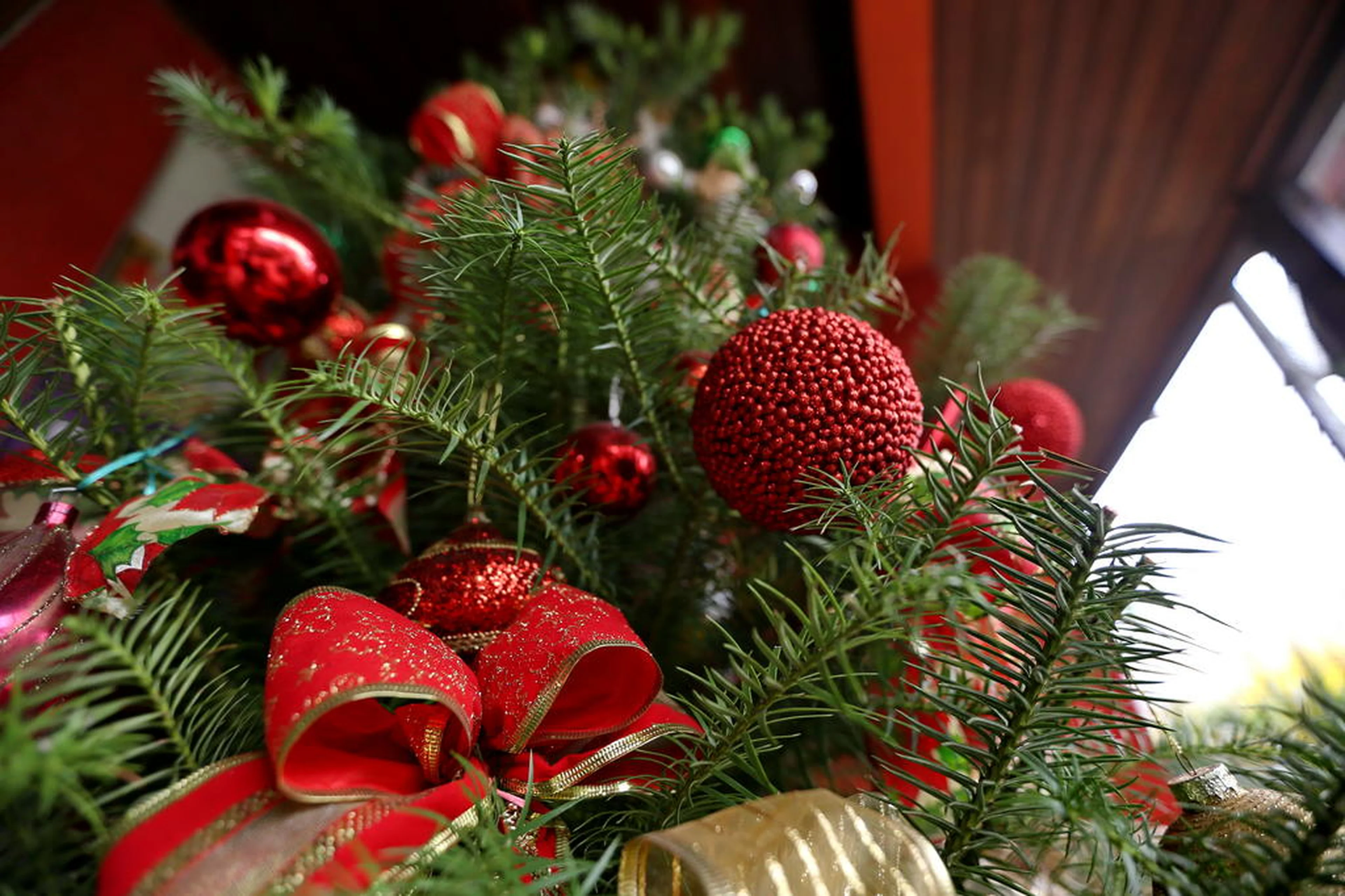 Lauro Alves/Agencia RBS