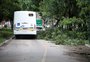 Tempestade transtorna a rotina de milhões de gaúchos com falta de luz, água e bloqueios viários