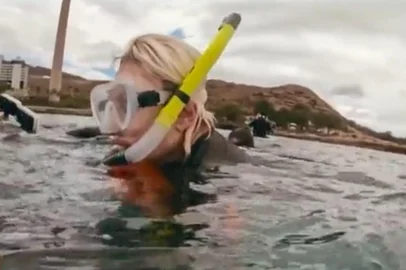 ana maria braga  no maisvocê em 26/11/24 em mergulho com tartarugas no havaí<!-- NICAID(15922175) -->