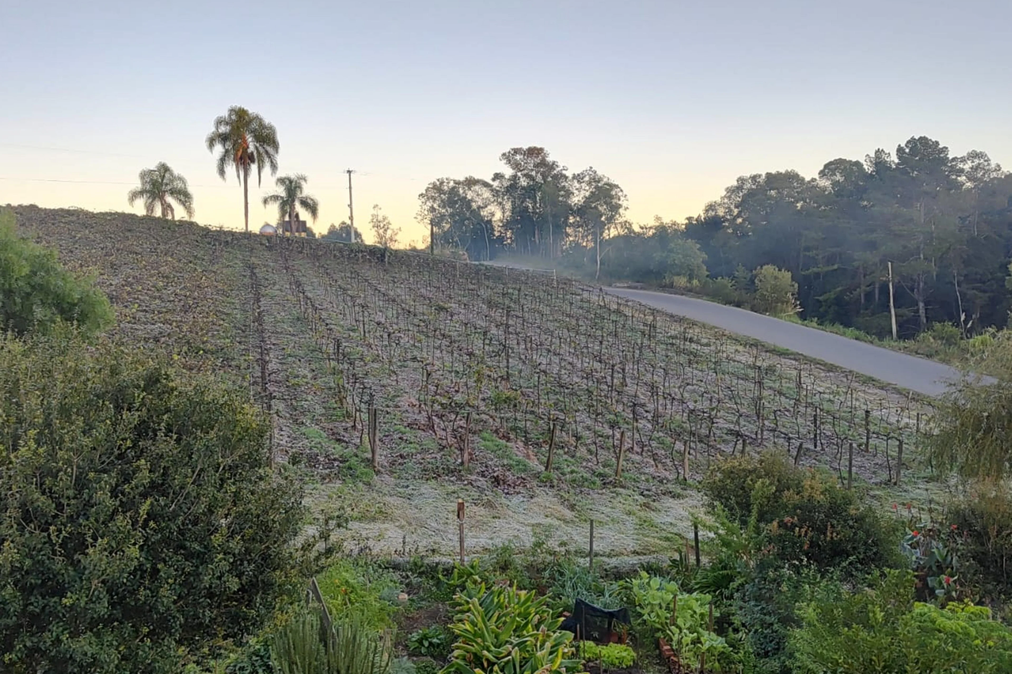 Márcio Ferrari/Arquivo Pessoal