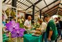 80 expositores são aguardados em feira de orquídeas em Nova Petrópolis