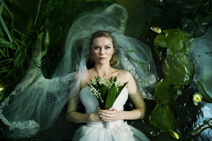 California Filmes / Divulgação California Filmes / Divulgação