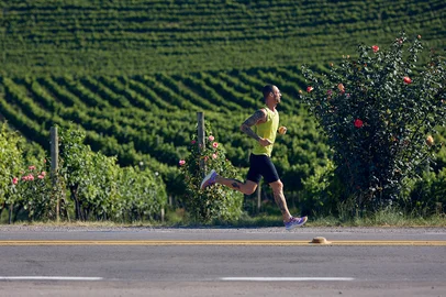 A Serra Gaúcha será cenário de uma das corridas mais encantadoras do Brasil: a Wine Run no próximo sábado (8). Com um percurso que atravessa Bento Gonçalves, Pinto Bandeira e Farroupilha — cidades importantes da cultura vinícola nacional — o evento une esporte e tradição em meio a paisagens da região.<!-- NICAID(16161138) -->