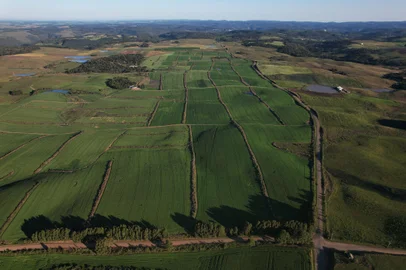 CAXIAS DO SUL, RS, BRASIL, 10/10/2023. Governo do Estado deve assumir rodovias que ligam ao Aeroporto de Vila Oliva. Prefeitura de Caxias do Sul realiza estudos e apresenta os acessos. Localidade conhecida como Tabela, local do futuro aeroporto: entroncamento da Estrada Municipal Lelio Luiz de Medeiros e Estrada Municipal Astrogildo A. Stumpf (que fazem a ligação entre Santa Lúcia do Piaí com Apanhador), com a Estrada Municipal Geraldo Dagstini (estrada Fazenda Souza), que Fazenda Souza com Vila Oliva (na foto a rodovia asfaltada). (Porthus Junior/Agência RBS)<!-- NICAID(15565785) -->