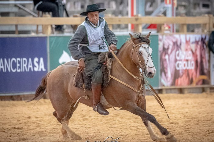 Mauricio Vinhas / Divulgação