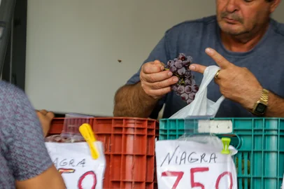 Preço da uva chega a R$ 7,50 o quilo em Caxias. Na foto, produtor Ademar Zanrosso, que comercializa a fruta na Praça Dante Aligheiri. (Neimar De Cesero/Agência RBS)Indexador: Neimar De Cesero<!-- NICAID(15964119) -->