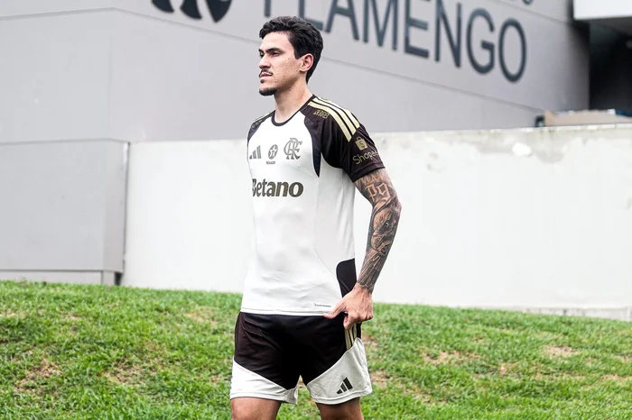 Gilvan de Souza / Flamengo/Divulgação