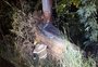 Homem morre após perder controle de veículo e colidir em árvore na RS-504, em Alpestre