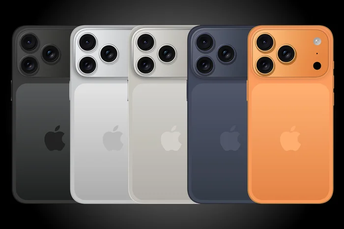 seoashi / stock.adobe.com