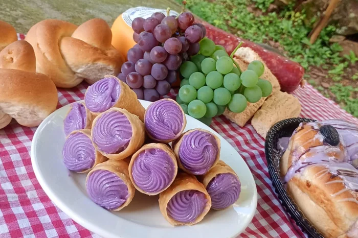 Yasmin Mühlbeier / Divulgação