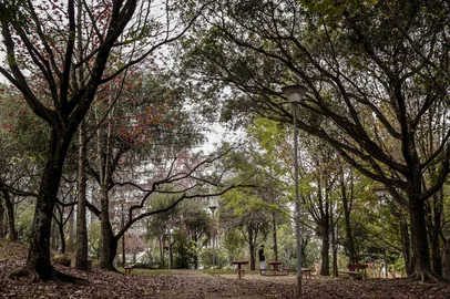 PORTO ALEGRE, RS, BRASIL - 19/06/2020Ambiental de clima tempo anunciando a chegada do Inverno. Na foto, a praça Gustavo Langsch<!-- NICAID(14526984) -->