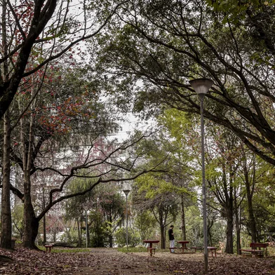 PORTO ALEGRE, RS, BRASIL - 19/06/2020Ambiental de clima tempo anunciando a chegada do Inverno. Na foto, a praça Gustavo Langsch<!-- NICAID(14526984) -->