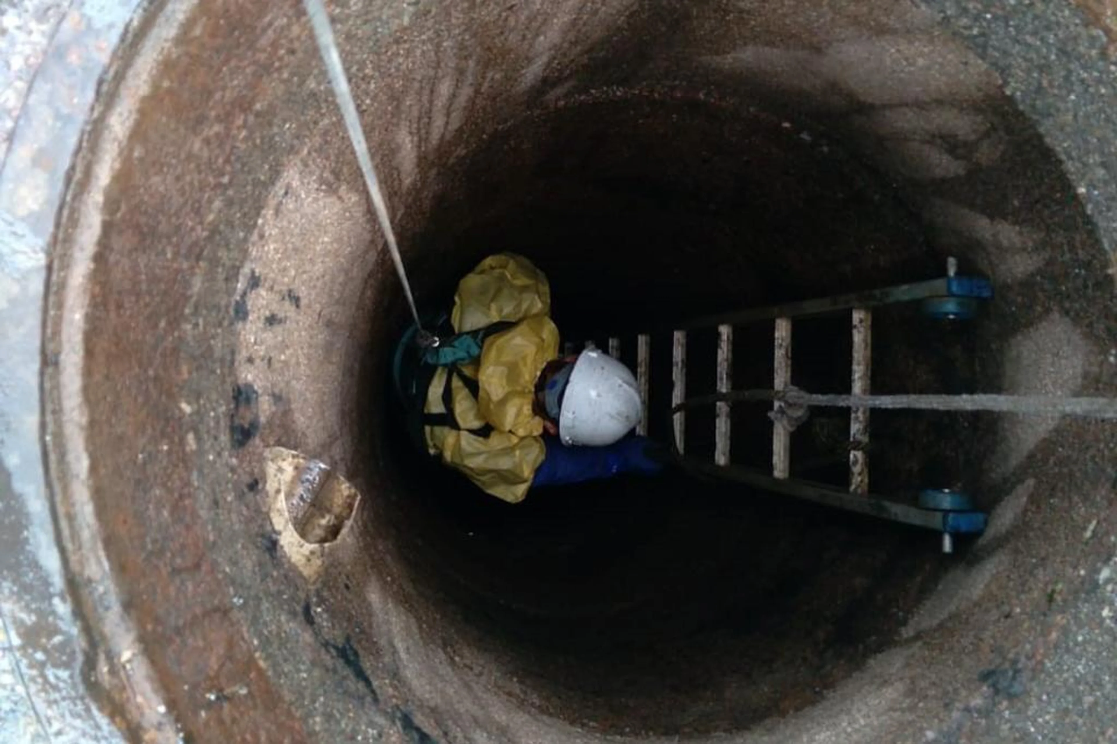 Ambiental Metrosul/Divulgação