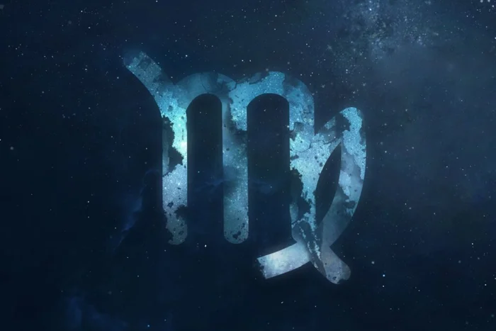 Dima Zel / Shutterstock | Portal EdiCase