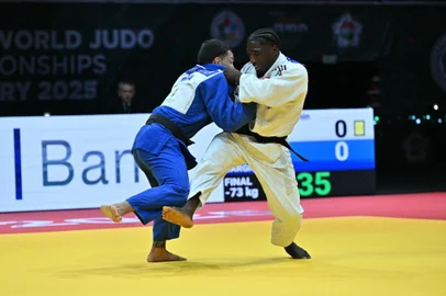 Daniel Cargnin, judô