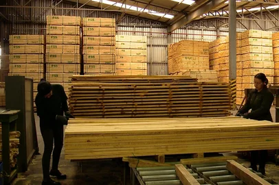 Com negociações congeladas, indústria madeireira gaúcha sofre impactos das taxas de exportação para os EUA<!-- NICAID(16099164) -->