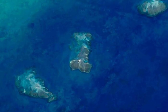 Landsat 8 & 9 / USGS,NASA,Divulgação