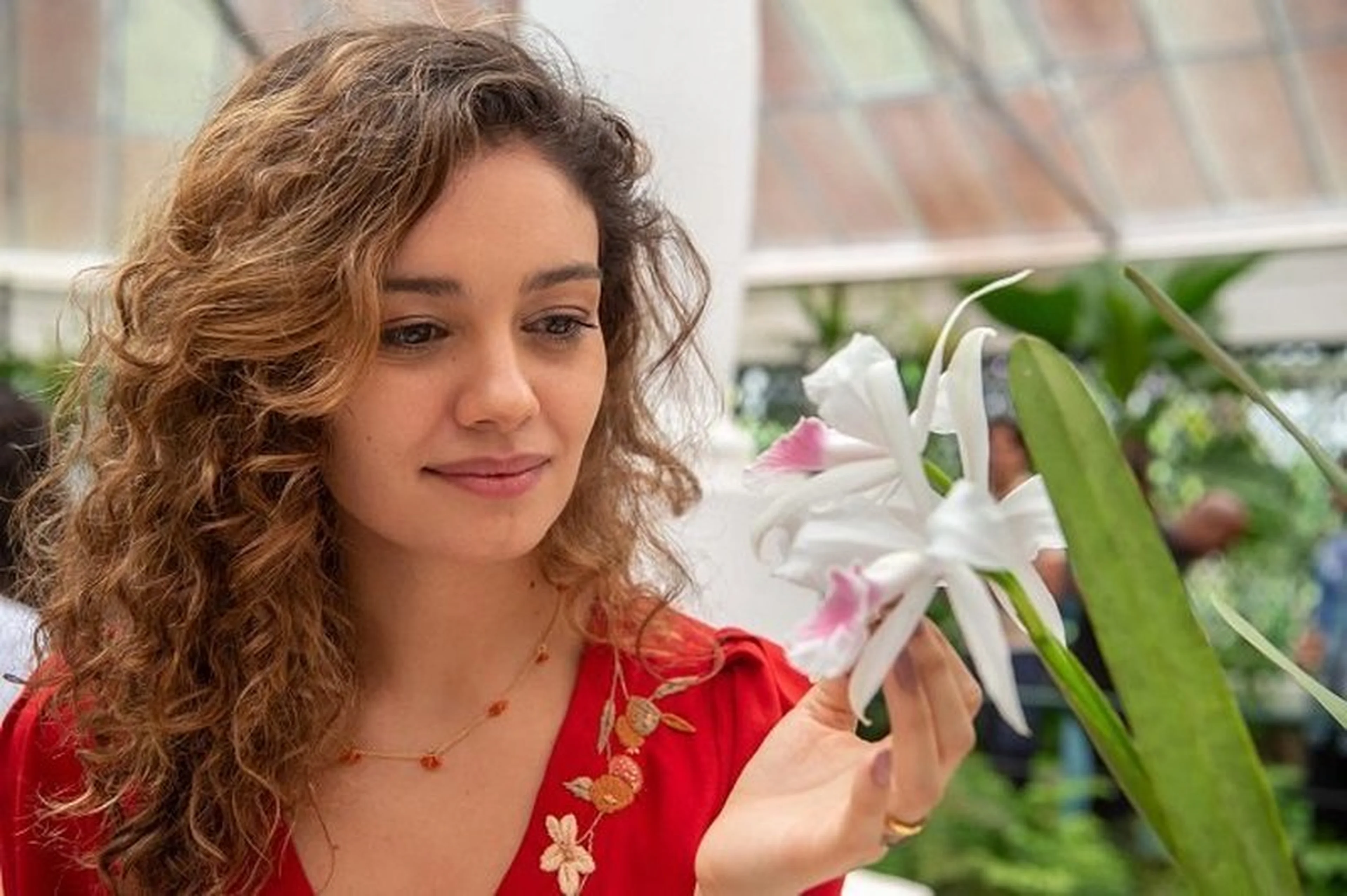 Estevam Avellar/TV Globo
